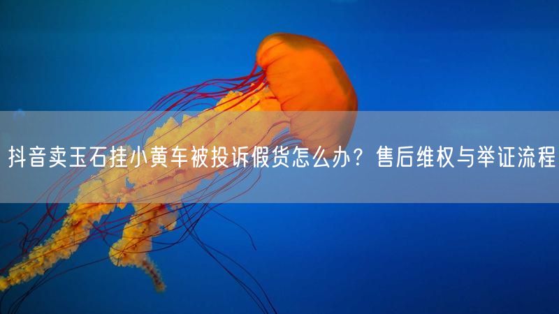 抖音卖玉石挂小黄车被投诉假货怎么办？售后维权与举证流程