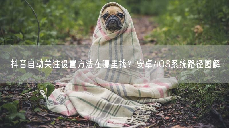 抖音自动关注设置方法在哪里找？安卓/iOS系统路径图解