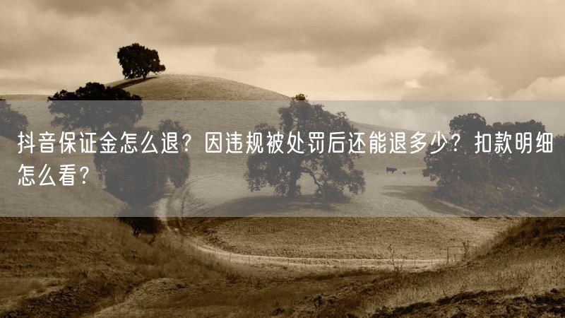 抖音保证金怎么退？因违规被处罚后还能退多少？扣款明细怎么看？