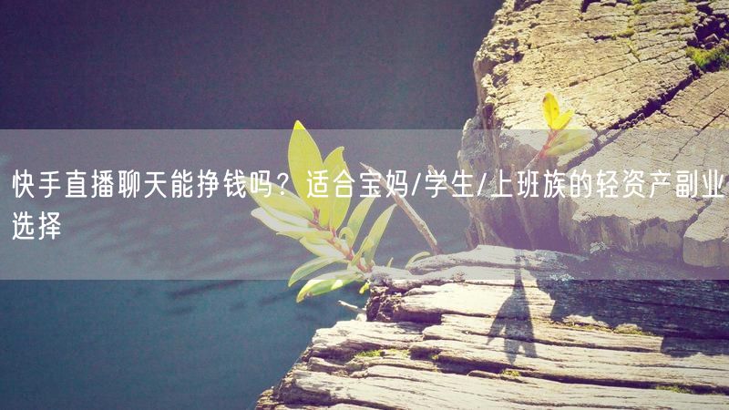 快手直播聊天能挣钱吗？适合宝妈/学生/上班族的轻资产副业选择