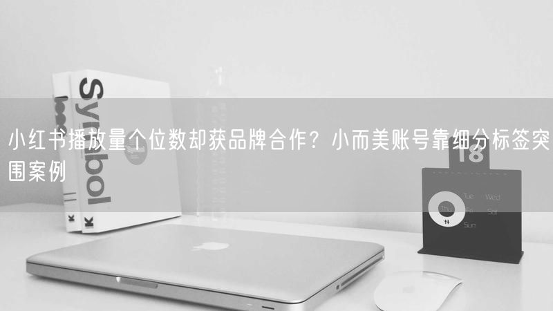 小红书播放量个位数却获品牌合作？小而美账号靠细分标签突围案例