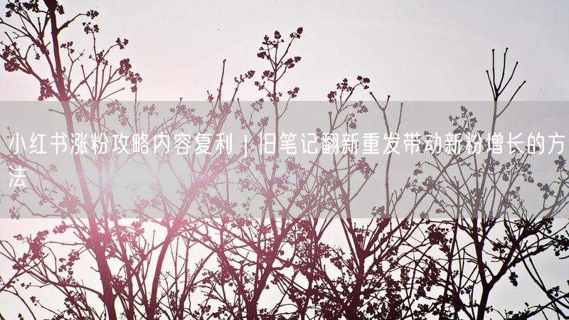 小红书涨粉攻略内容复利｜旧笔记翻新重发带动新粉增长的方法