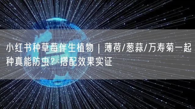 小红书种草莓伴生植物｜薄荷/葱蒜/万寿菊一起种真能防虫？搭配