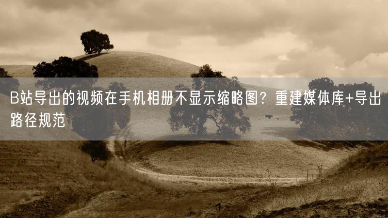 B站导出的视频在手机相册不显示缩略图？重建媒体库+导出路径规