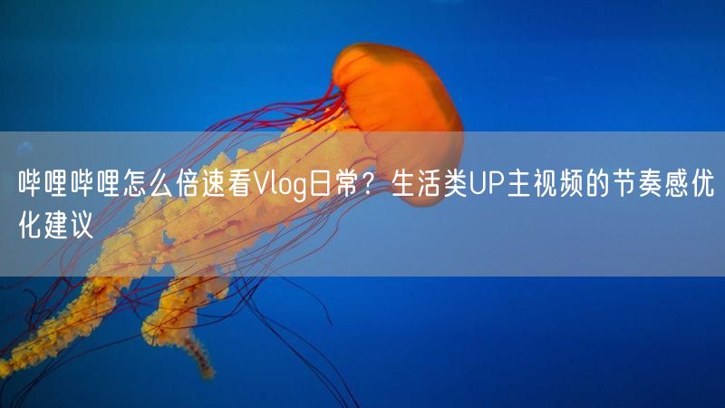 哔哩哔哩怎么倍速看Vlog日常？生活类UP主视频的节奏感优化