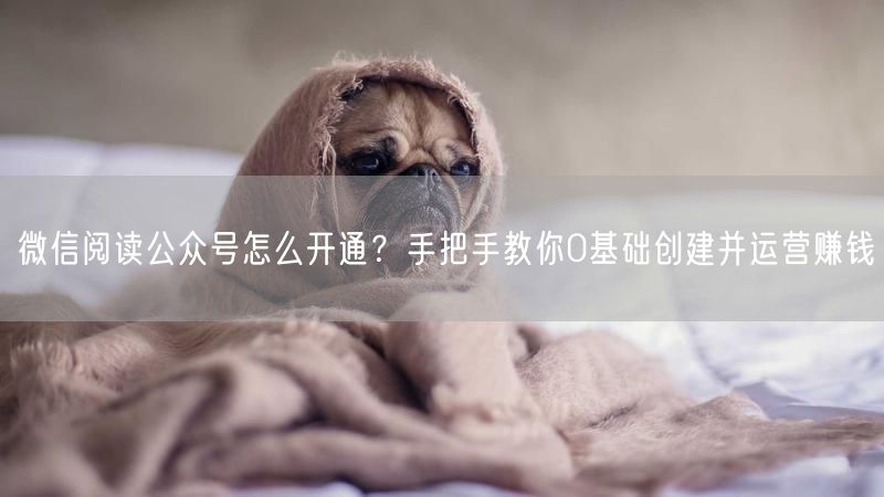 微信阅读公众号怎么开通？手把手教你0基础创建并运营赚钱
