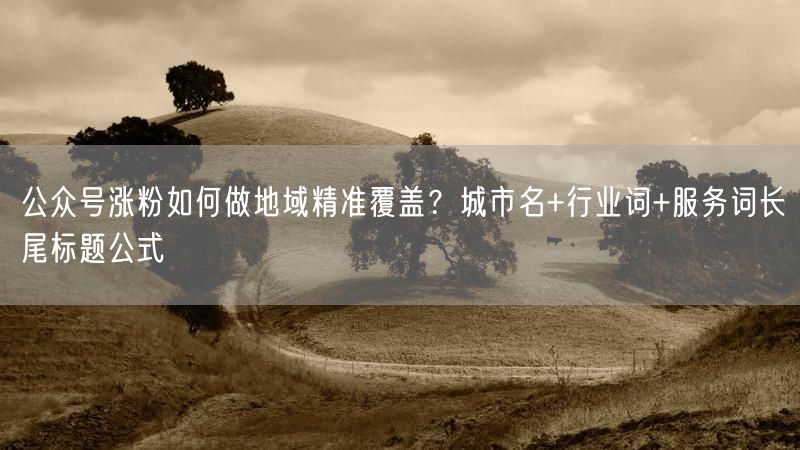 公众号涨粉如何做地域精准覆盖？城市名+行业词+服务词长尾标题公式