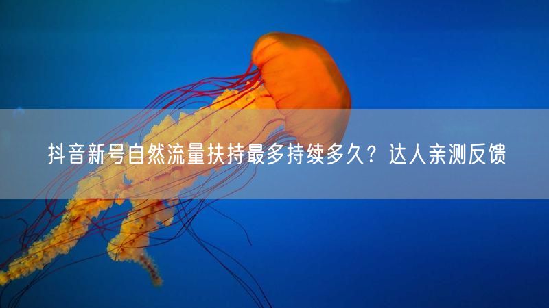 抖音新号自然流量扶持最多持续多久？达人亲测反馈