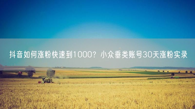 抖音如何涨粉快速到1000？小众垂类账号30天涨粉实录