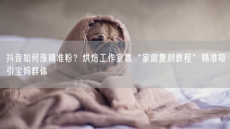 抖音如何涨精准粉？烘焙工作室靠“家庭复刻教程”精准吸引宝妈群