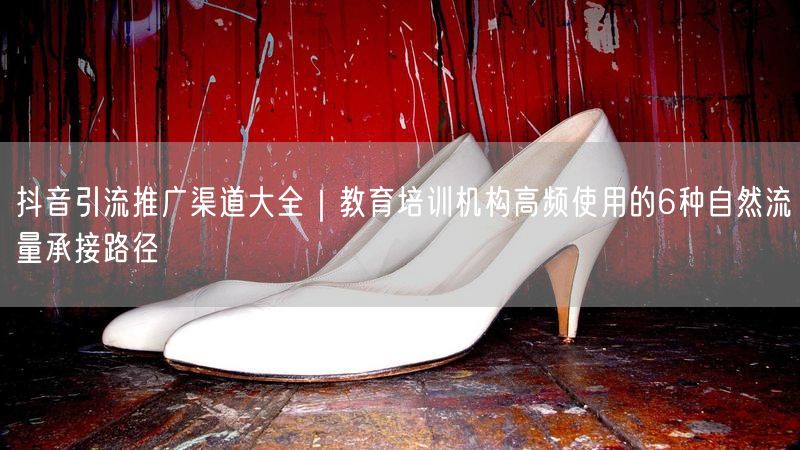 抖音引流推广渠道大全｜教育培训机构高频使用的6种自然流量承接