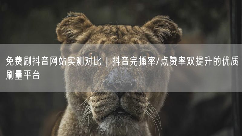 免费刷抖音网站实测对比｜抖音完播率/点赞率双提升的优质刷量平